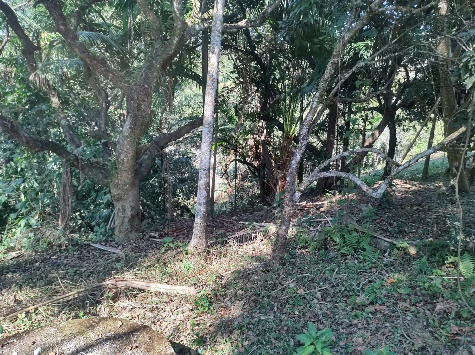 Chácara à venda de 2 ha em São José dos Campos, SP, Brasil