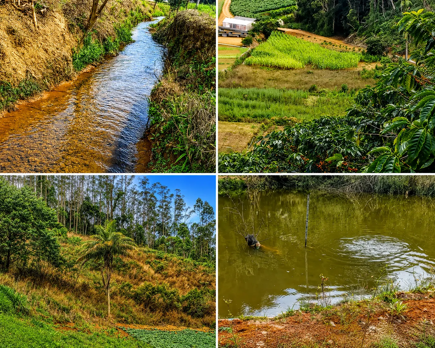 Chácara à venda de 17 ha em Santa Maria de Jetibá, ES, Brasil