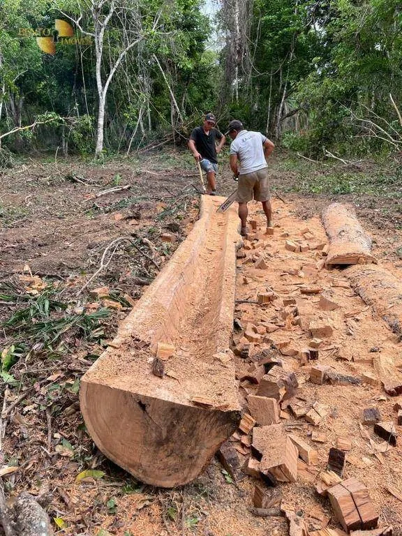 Fazenda à venda de 4.123 ha em Cuiabá, MT, Brasil