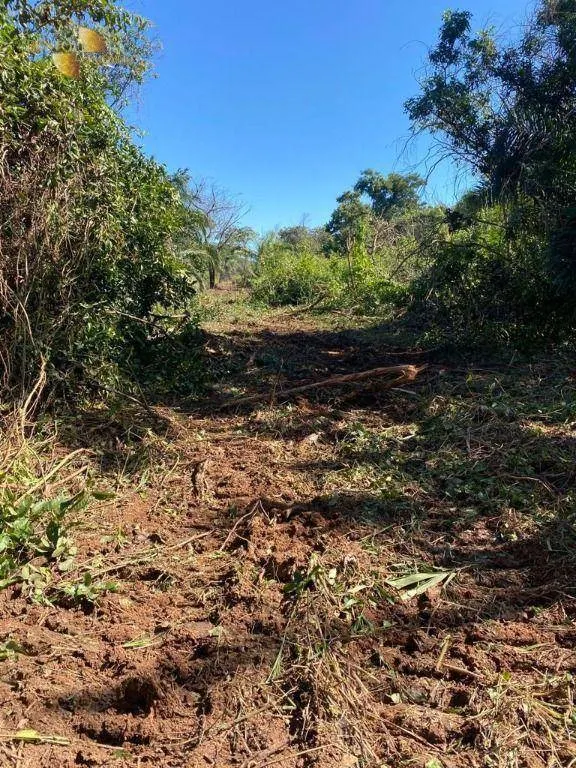 Fazenda à venda de 4.123 ha em Cuiabá, MT, Brasil