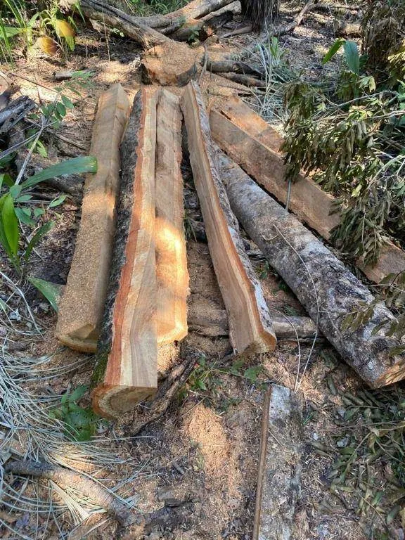 Fazenda à venda de 4.123 ha em Cuiabá, MT, Brasil