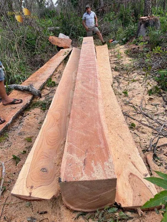 Fazenda à venda de 4.123 ha em Cuiabá, MT, Brasil