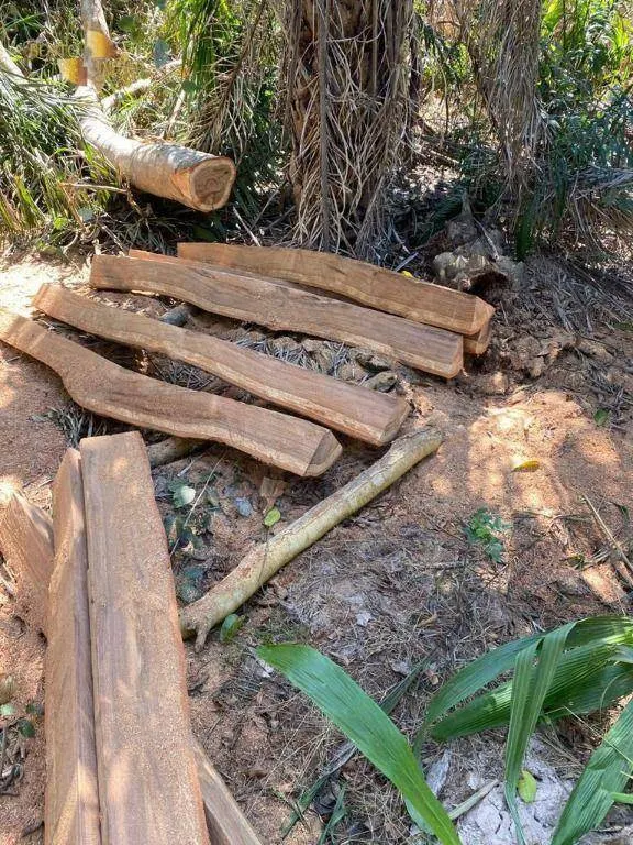 Fazenda à venda de 4.123 ha em Cuiabá, MT, Brasil