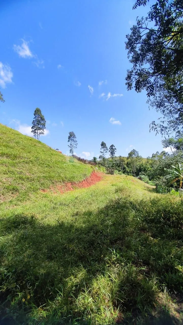 Farm for sale of 31 acres in Canelinha, SC, Brazil
