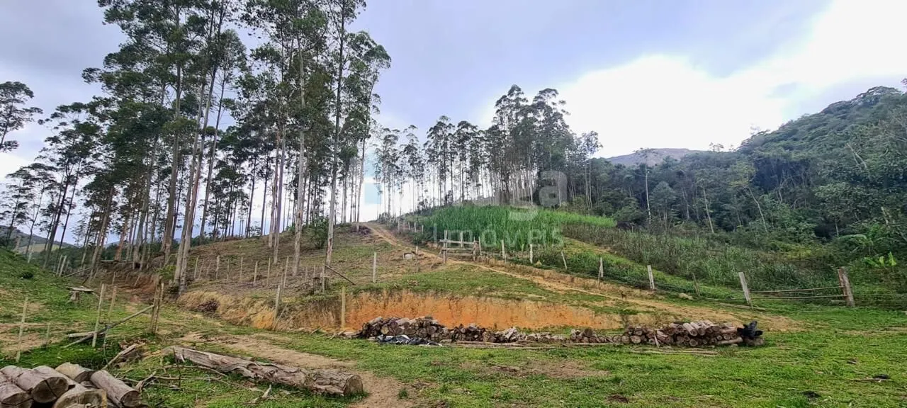 Farm for sale of 31 acres in Canelinha, SC, Brazil