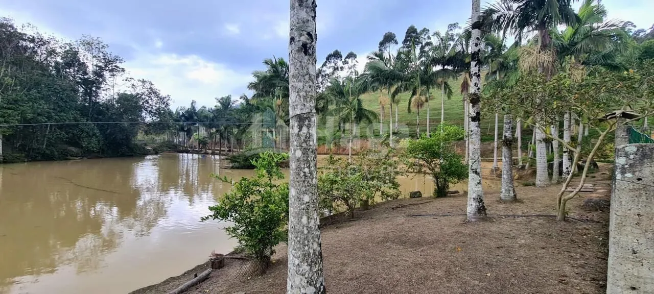 Farm for sale of 31 acres in Canelinha, SC, Brazil
