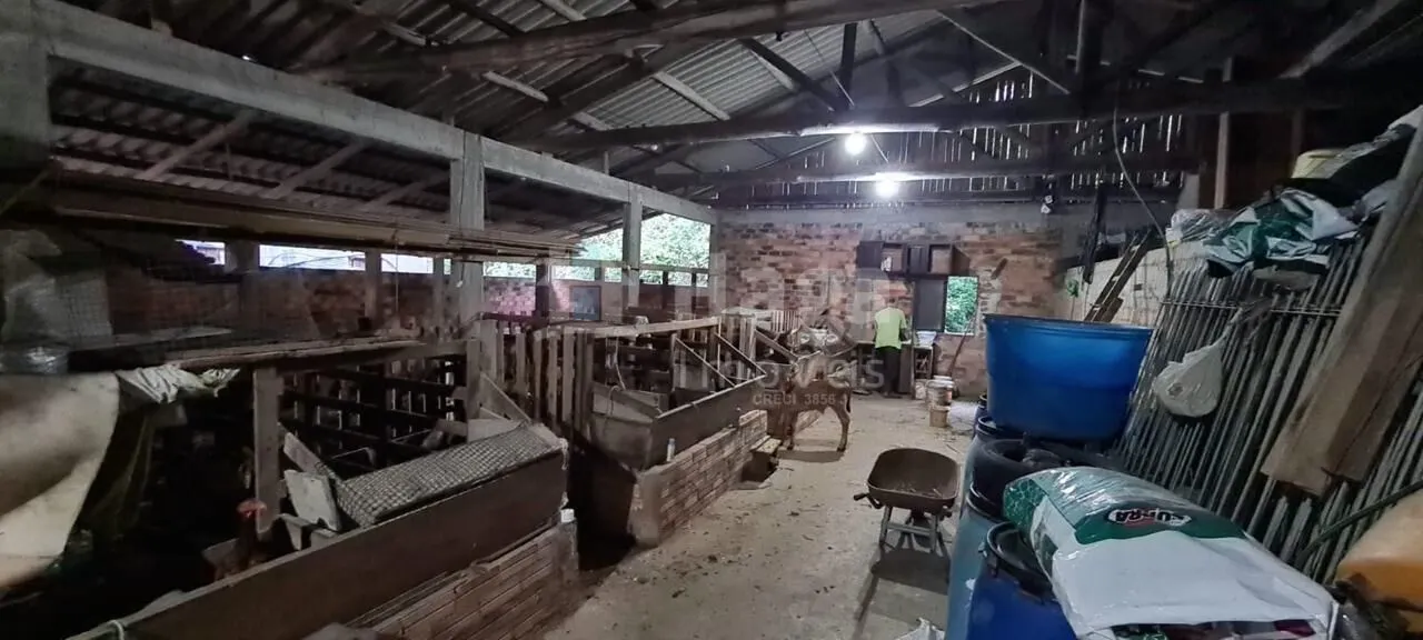 Farm for sale of 31 acres in Canelinha, SC, Brazil