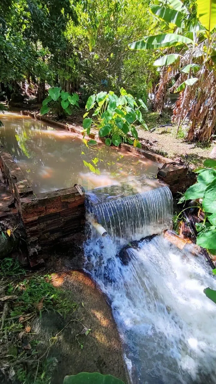 Farm for sale of 31 acres in Canelinha, SC, Brazil