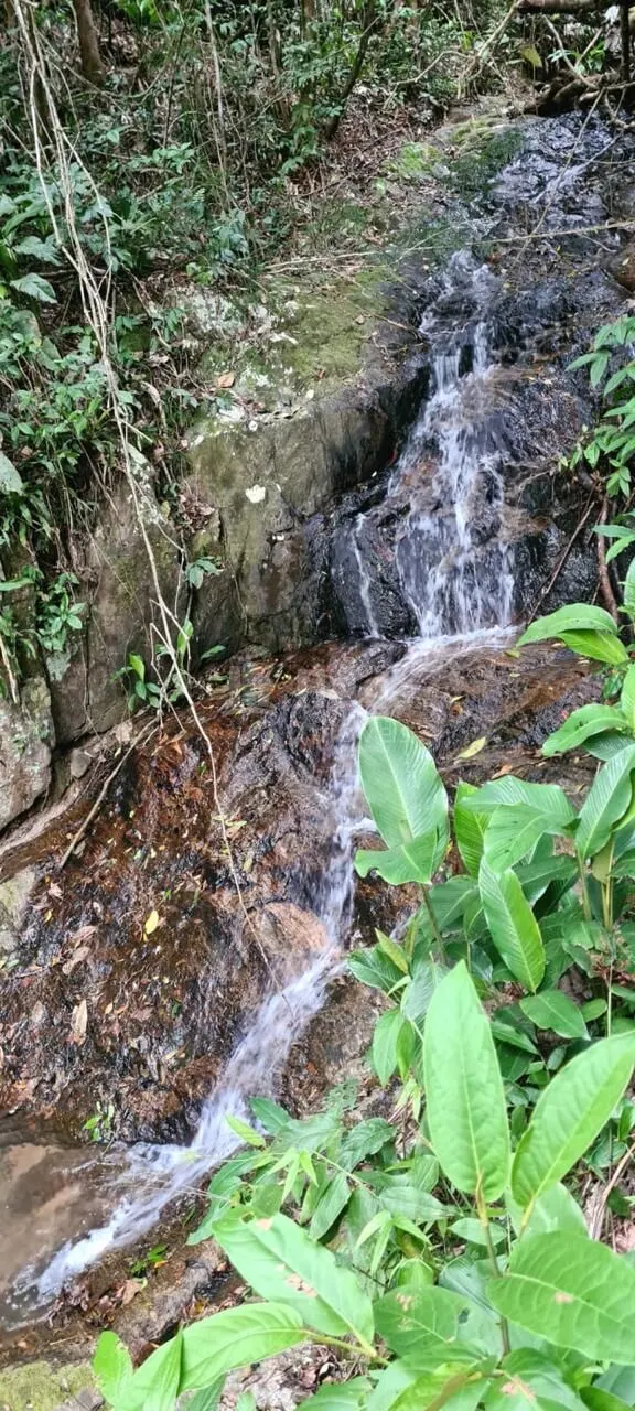 Farm for sale of 31 acres in Canelinha, SC, Brazil
