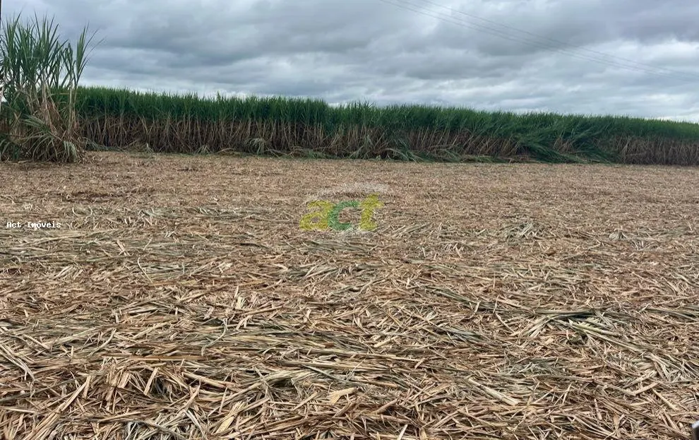 Fazenda à venda de 610 ha em Valparaíso, SP, Brasil