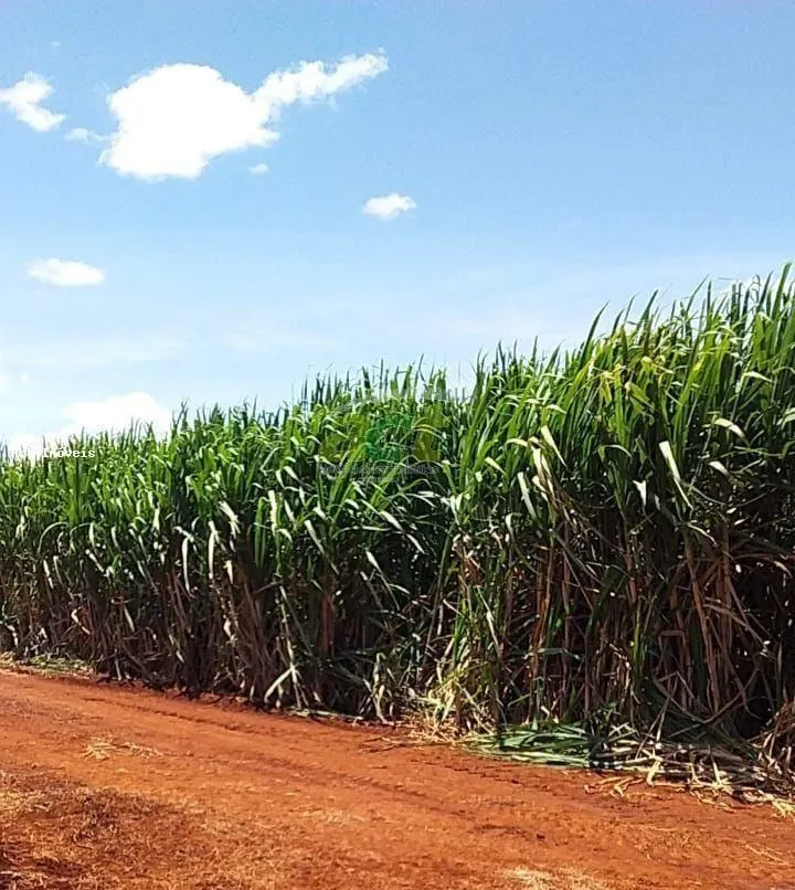 Fazenda à venda de 610 ha em Valparaíso, SP, Brasil