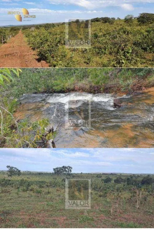 Fazenda à venda de 8.624 ha em Primavera do Leste, MT, Brasil