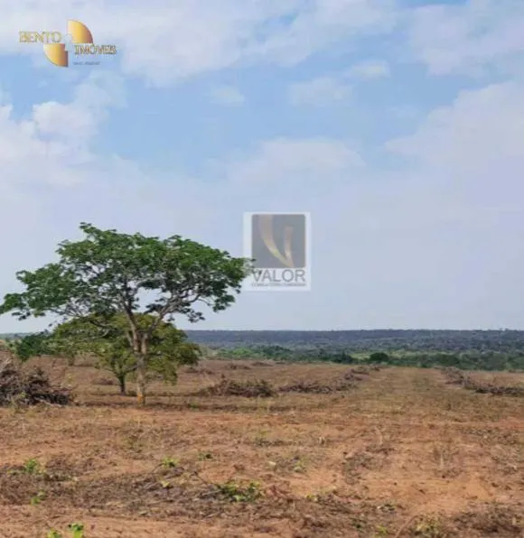 Fazenda à venda de 8.624 ha em Primavera do Leste, MT, Brasil