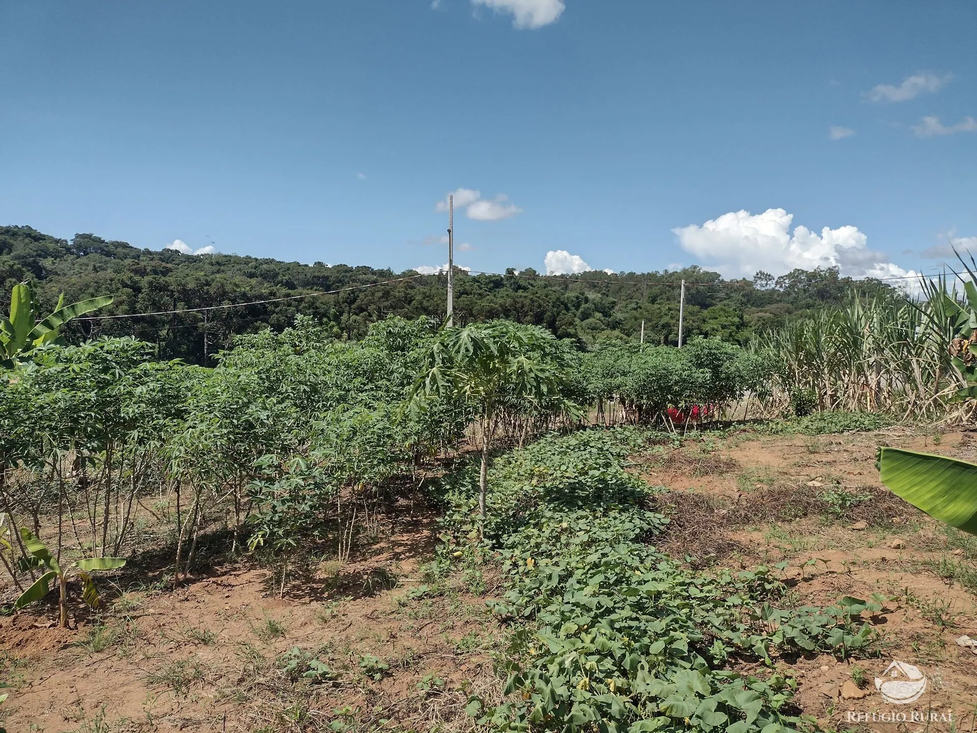 Terreno à venda de 500 m² em Jaboti, PR, Brasil