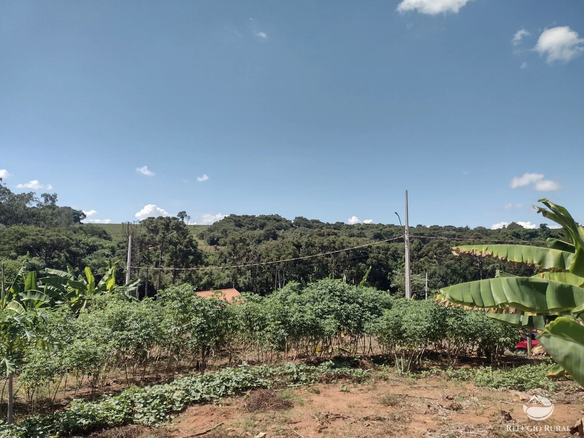 Terreno à venda de 500 m² em Jaboti, PR, Brasil