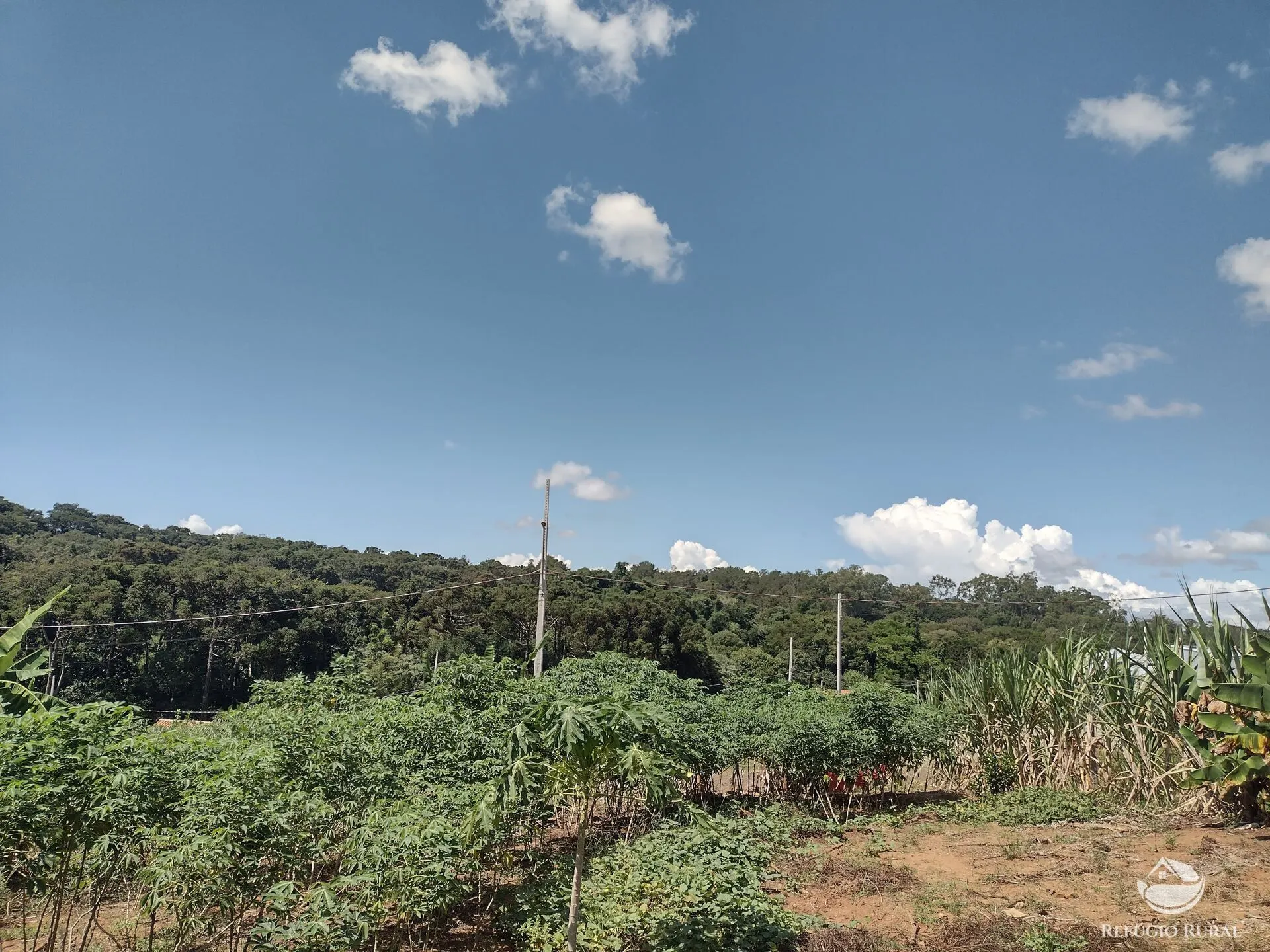 Terreno à venda de 500 m² em Jaboti, PR, Brasil