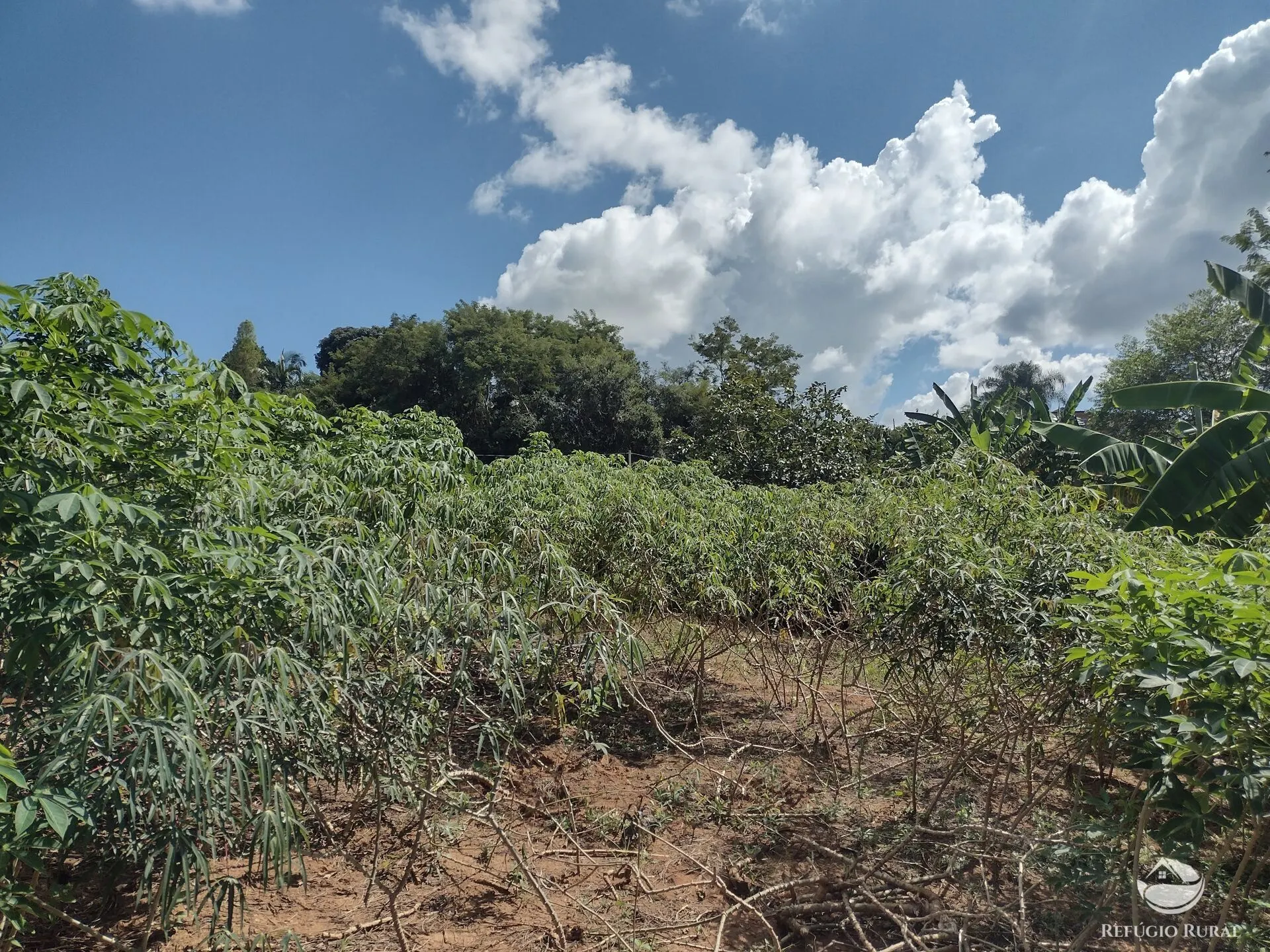 Terreno à venda de 500 m² em Jaboti, PR, Brasil