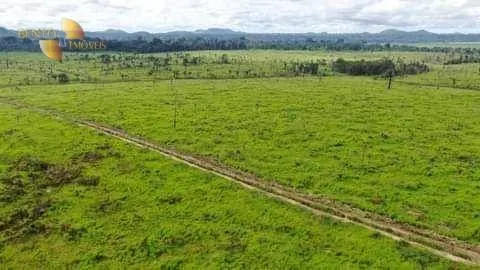 Fazenda à venda de 10.200 ha em Santana do Araguaia, PA, Brasil