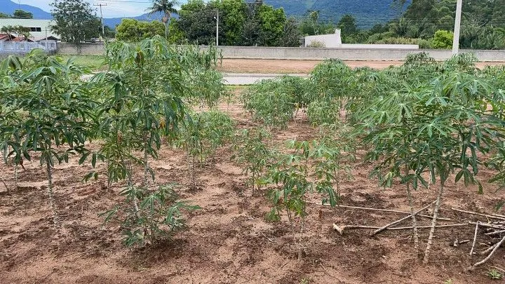 Plot for sale of 360 m² in Maquiné, RS, Brazil