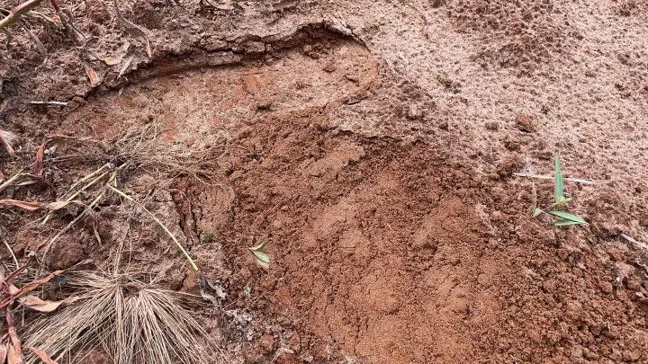 Plot for sale of 360 m² in Maquiné, RS, Brazil