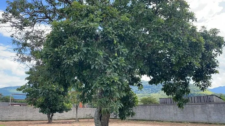 Plot for sale of 360 m² in Maquiné, RS, Brazil