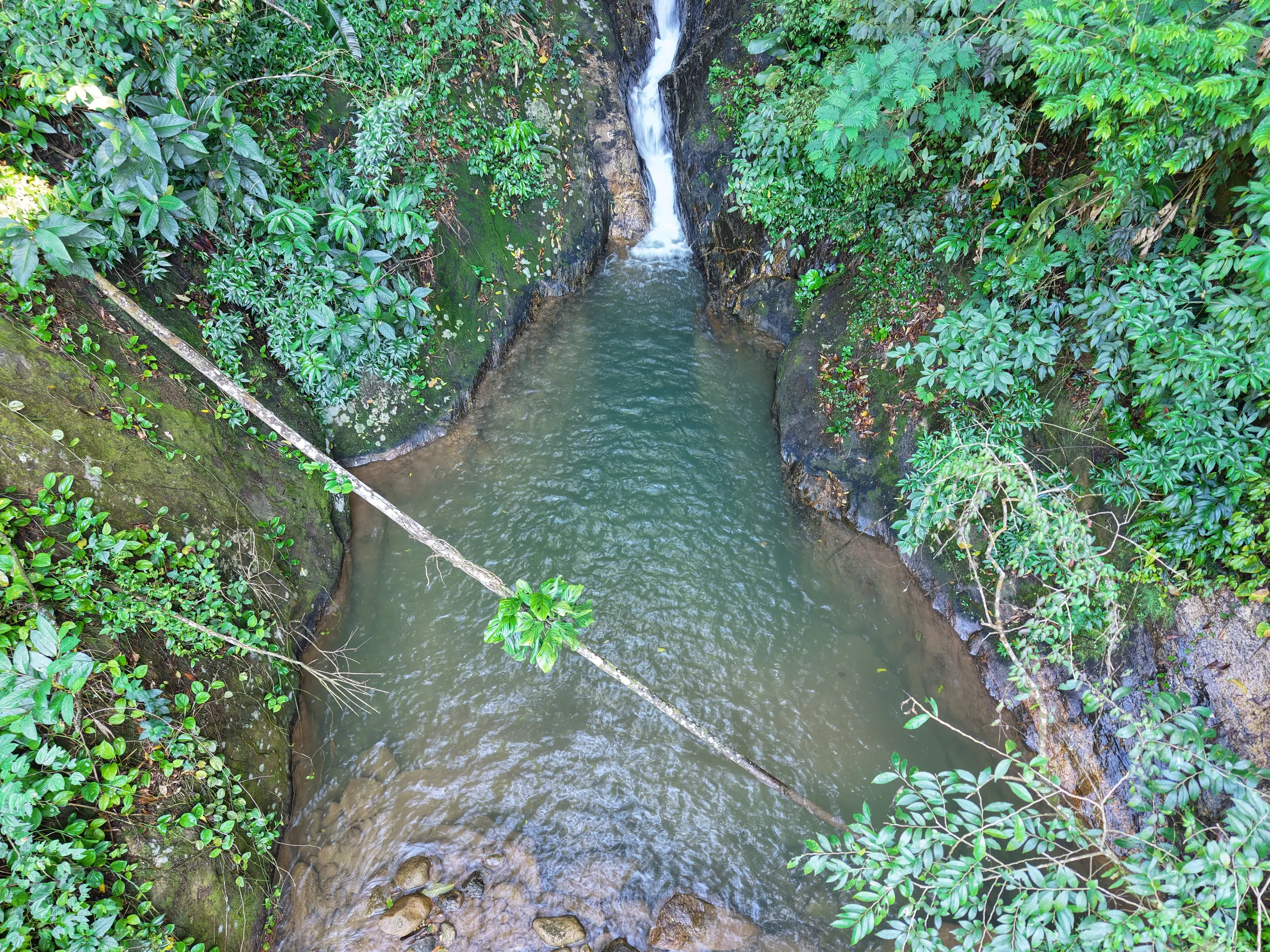 Sítio à venda de 14 ha em Nova Friburgo, RJ, Brasil