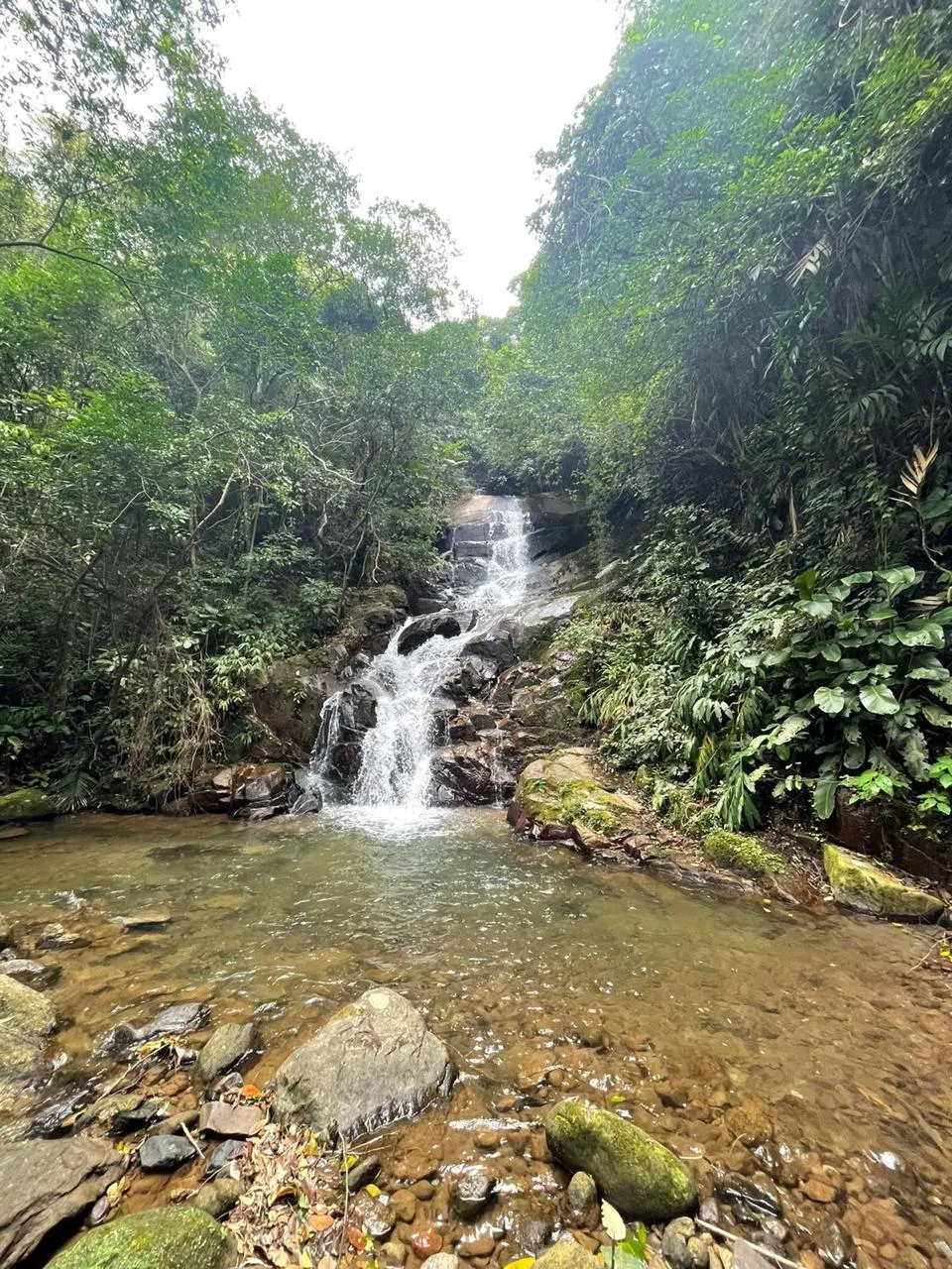 Sítio à venda de 14 ha em Nova Friburgo, RJ, Brasil