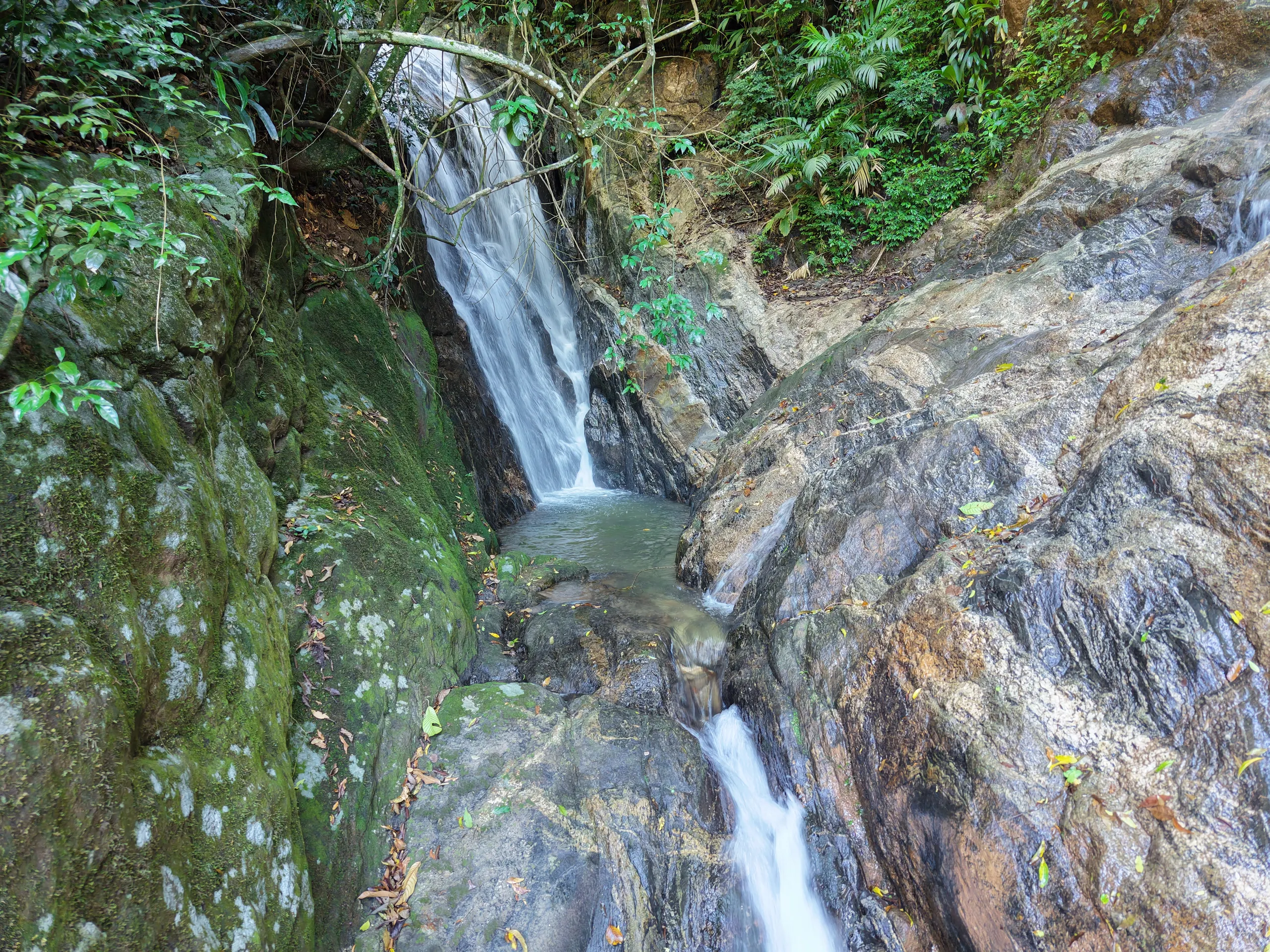 Sítio à venda de 14 ha em Nova Friburgo, RJ, Brasil