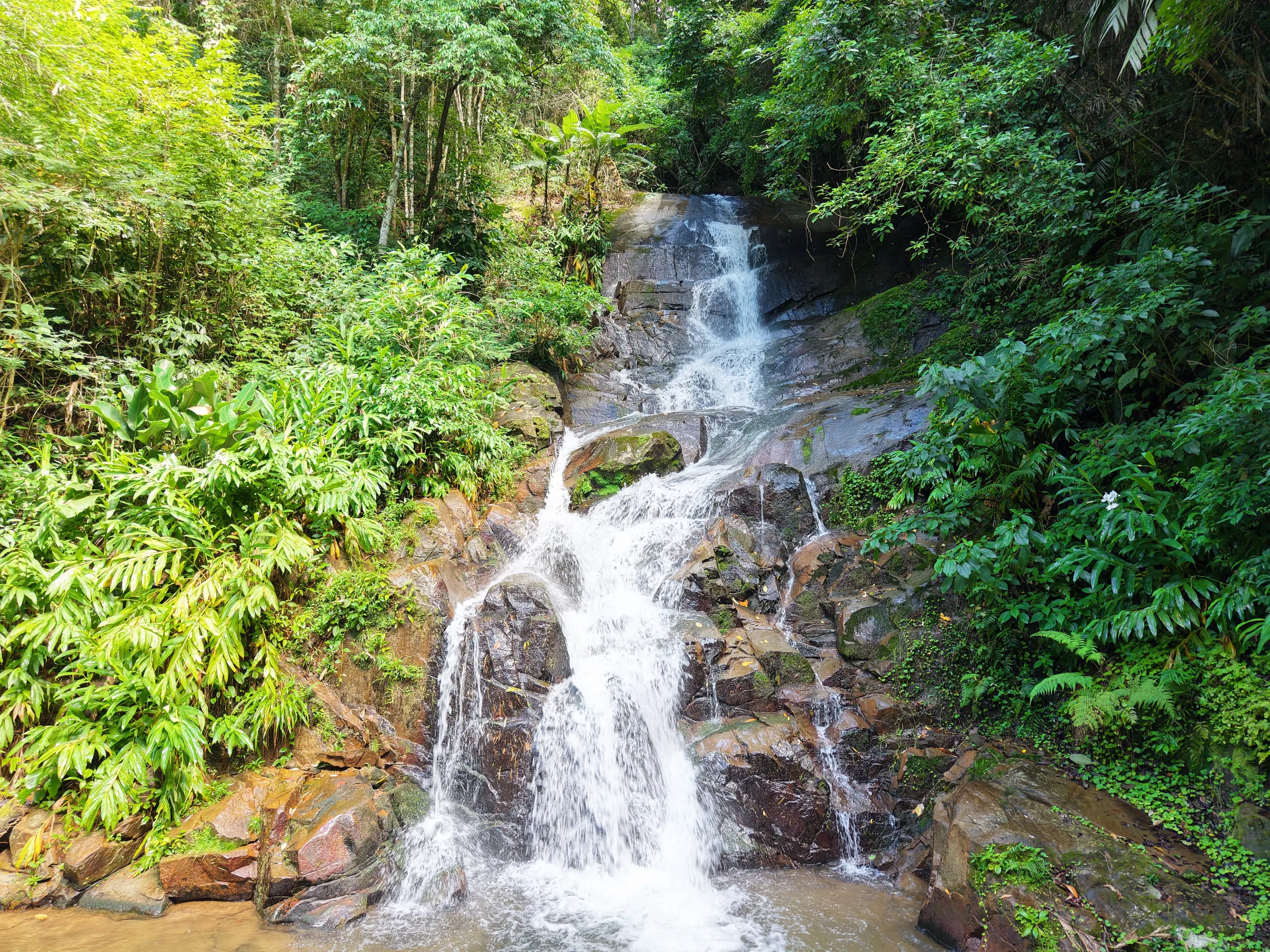 Sítio à venda de 14 ha em Nova Friburgo, RJ, Brasil