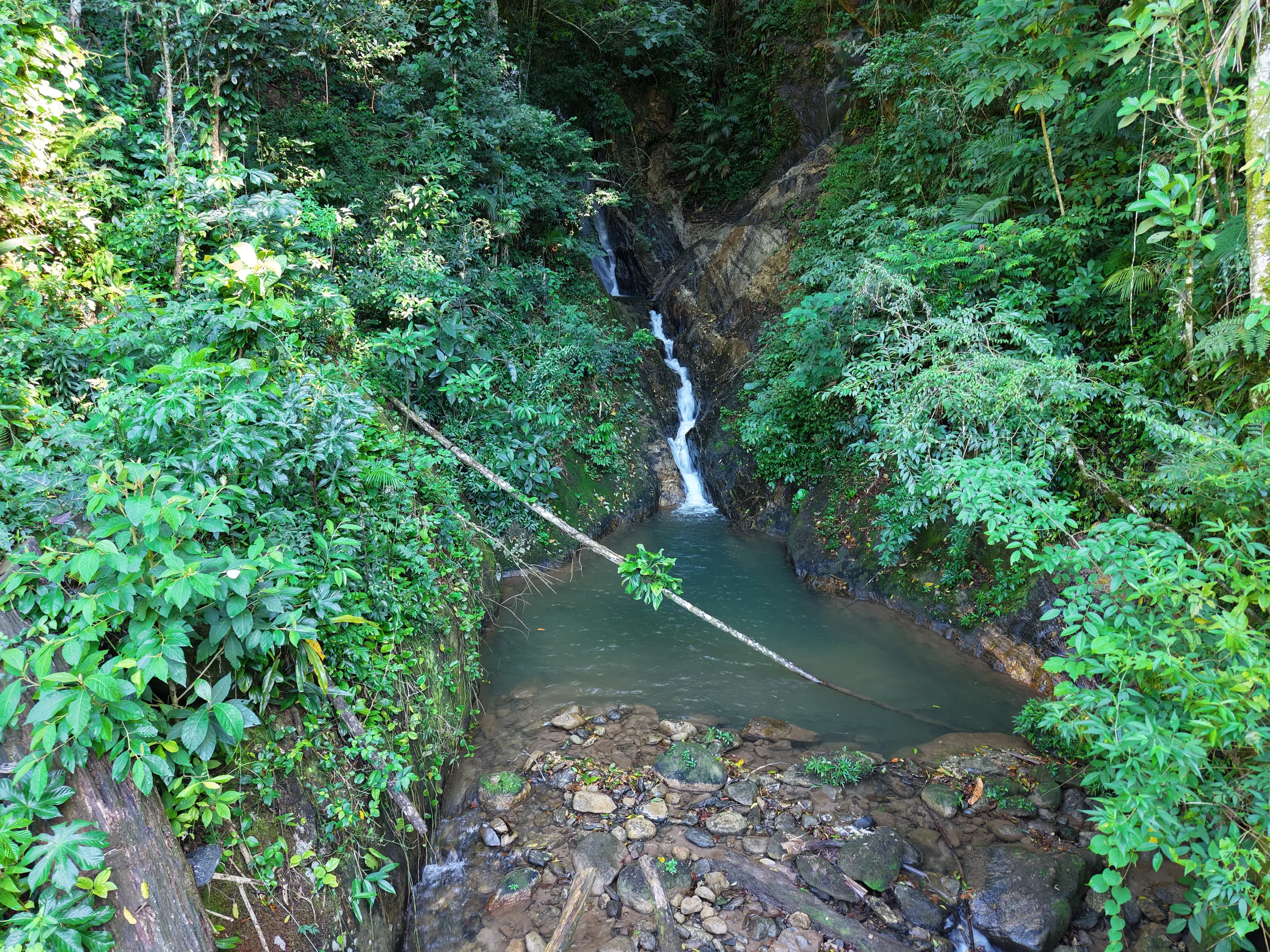 Sítio à venda de 14 ha em Nova Friburgo, RJ, Brasil