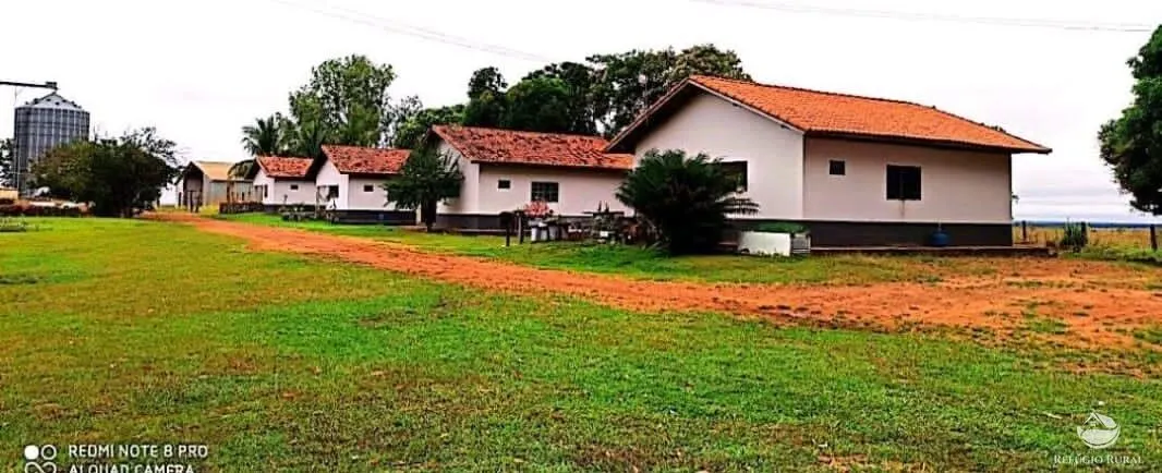 Fazenda à venda de 10.000 ha em Brasnorte, MT, Brasil