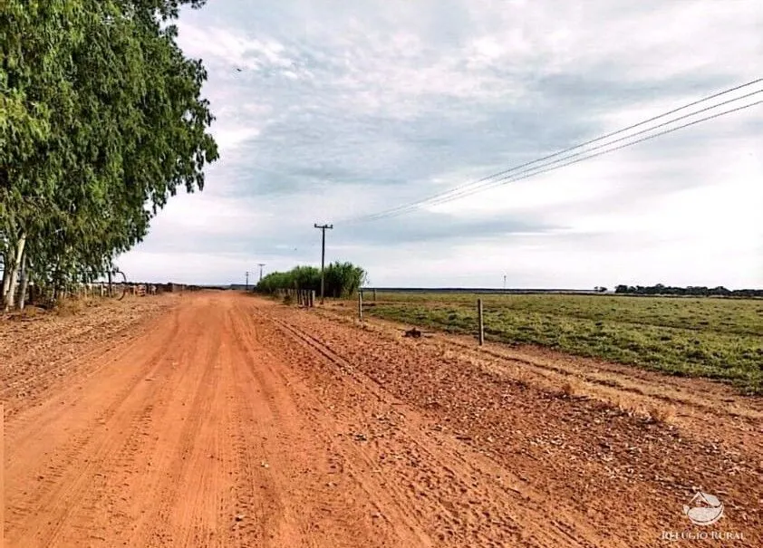 Fazenda à venda de 10.000 ha em Brasnorte, MT, Brasil
