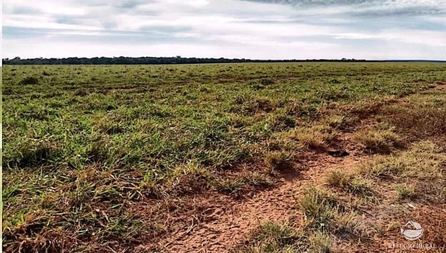 Fazenda à venda de 10.000 ha em Brasnorte, MT, Brasil