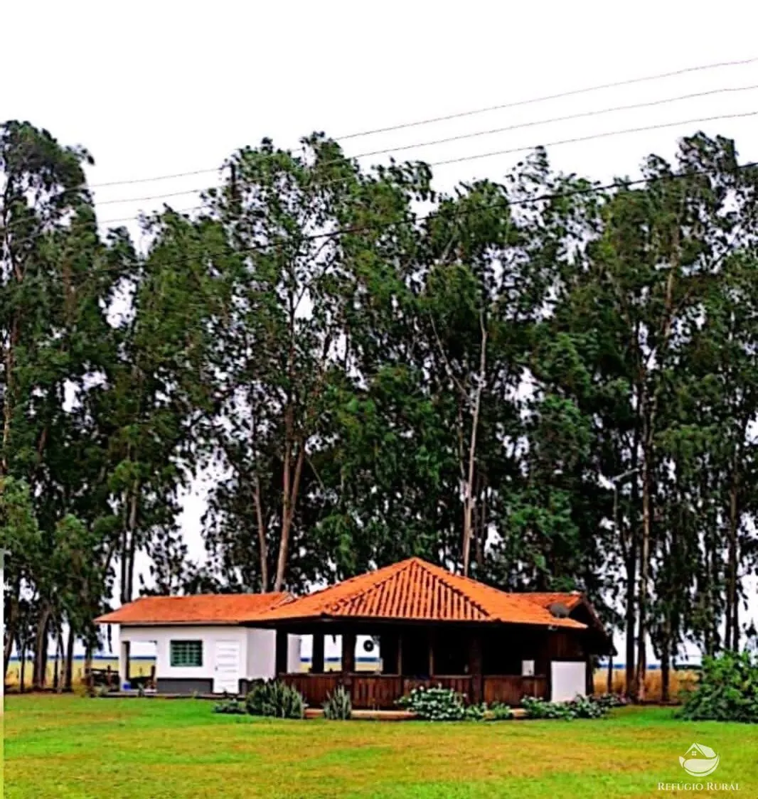 Fazenda à venda de 10.000 ha em Brasnorte, MT, Brasil