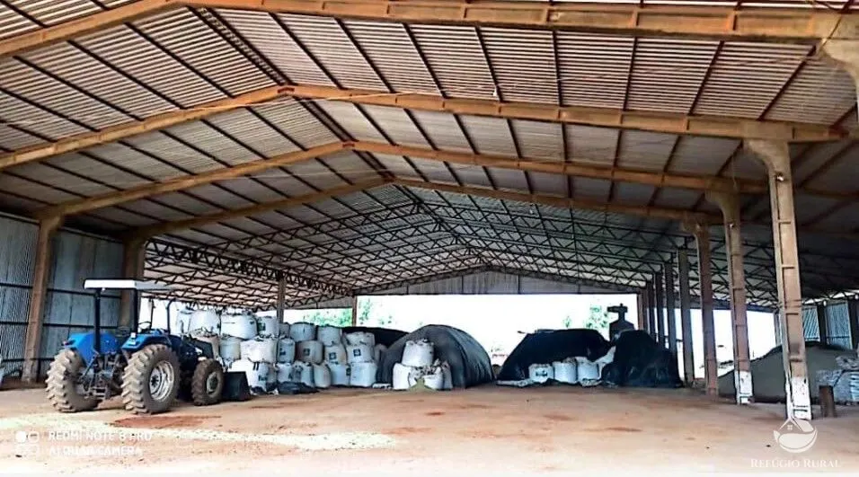 Fazenda à venda de 10.000 ha em Brasnorte, MT, Brasil