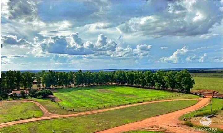 Fazenda à venda de 10.000 ha em Brasnorte, MT, Brasil