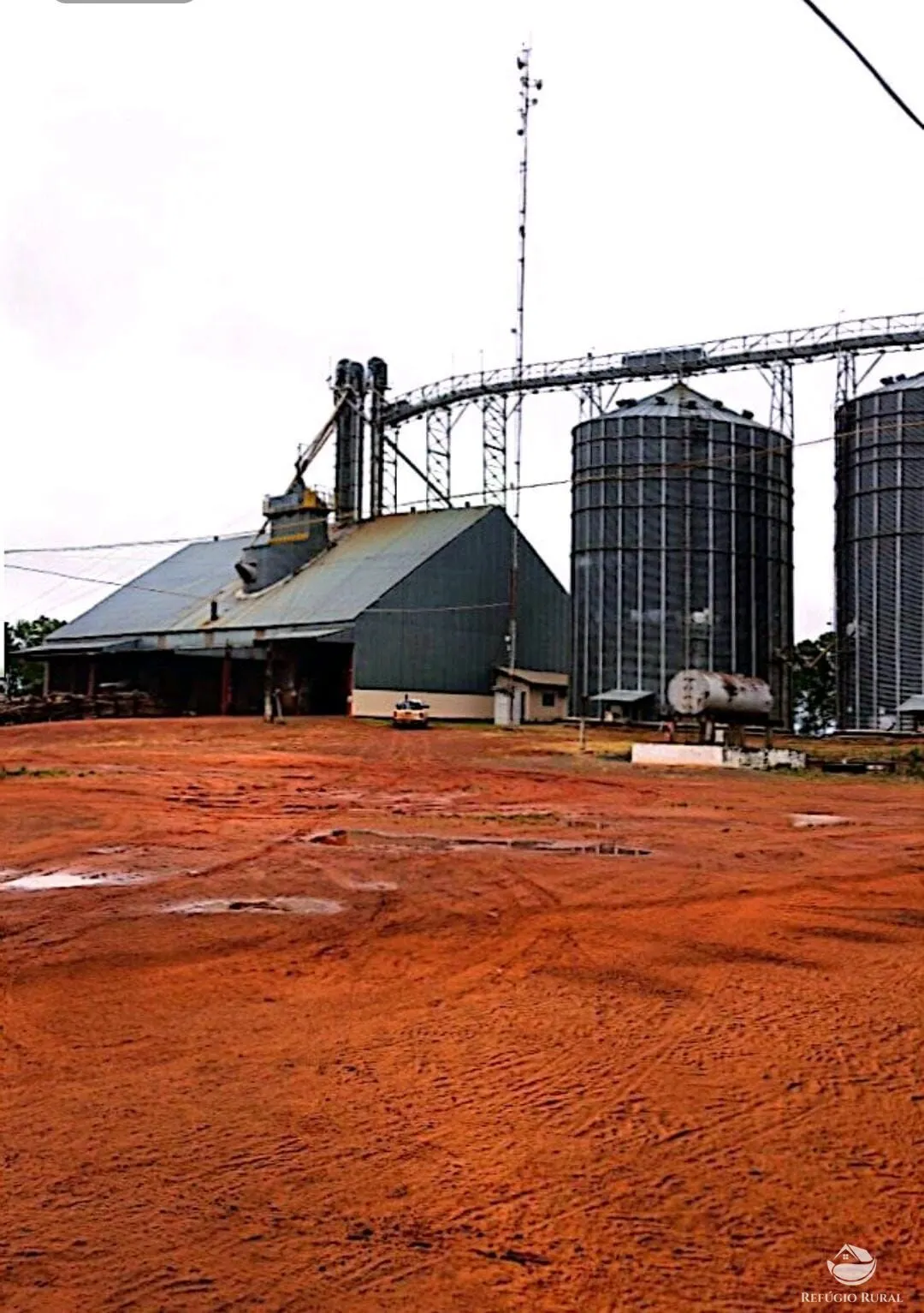 Fazenda à venda de 10.000 ha em Brasnorte, MT, Brasil