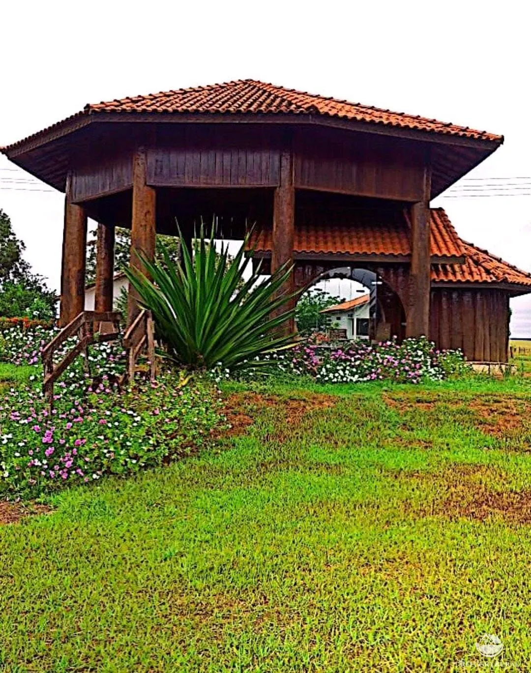 Fazenda à venda de 10.000 ha em Brasnorte, MT, Brasil