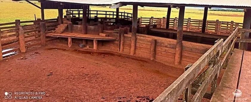 Fazenda à venda de 10.000 ha em Brasnorte, MT, Brasil