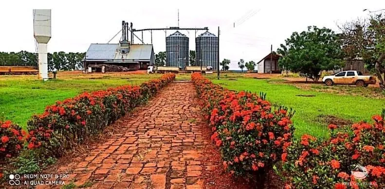 Fazenda à venda de 10.000 ha em Brasnorte, MT, Brasil