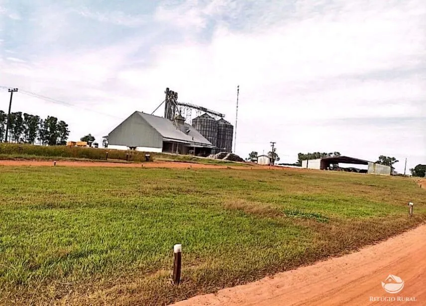 Fazenda à venda de 10.000 ha em Brasnorte, MT, Brasil