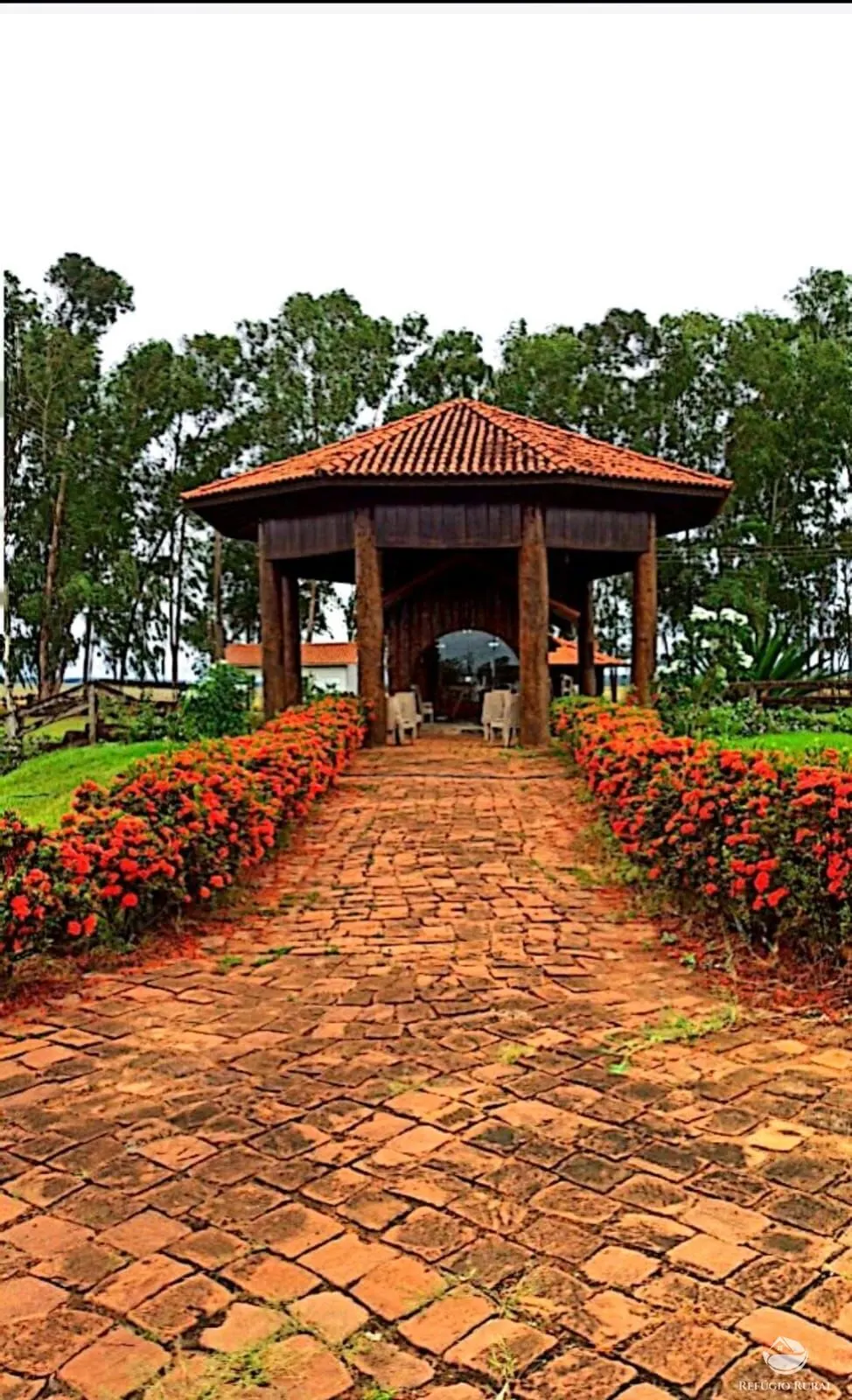 Fazenda à venda de 10.000 ha em Brasnorte, MT, Brasil