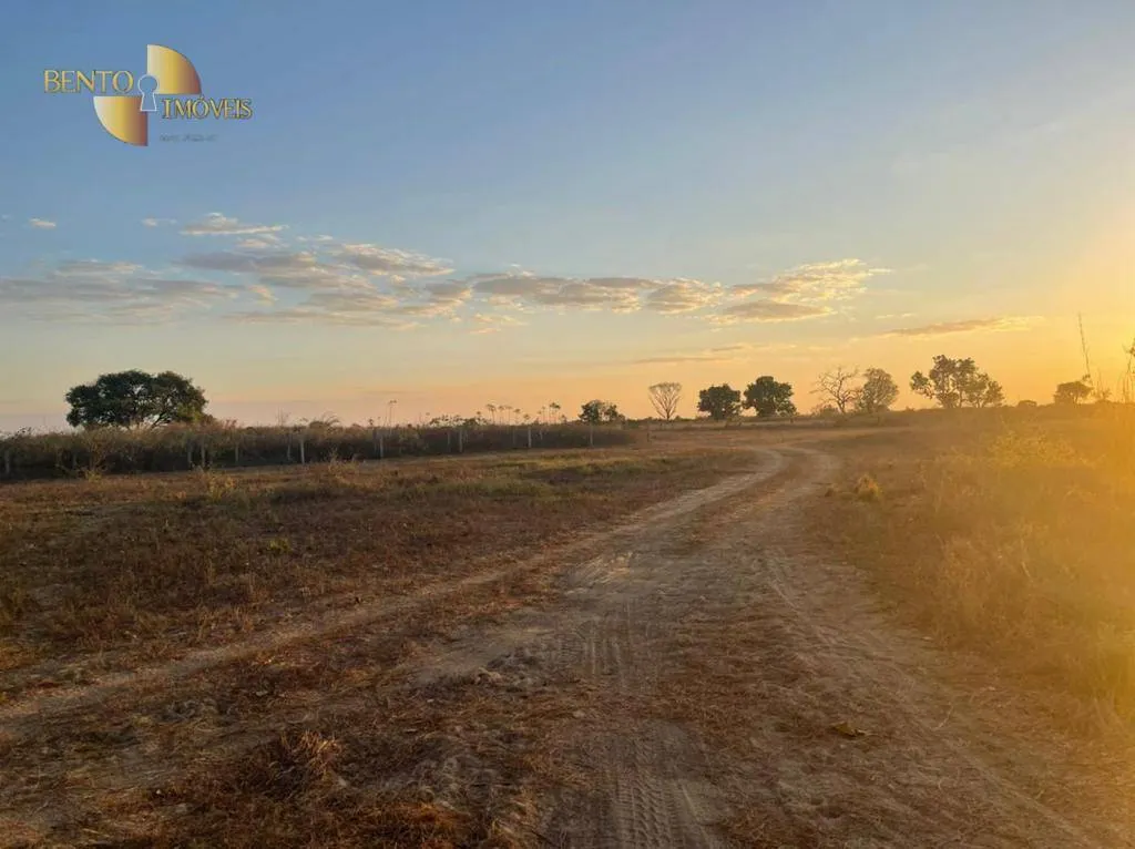 Fazenda à venda de 15.440 ha em Ribeirão Cascalheira, MT, Brasil