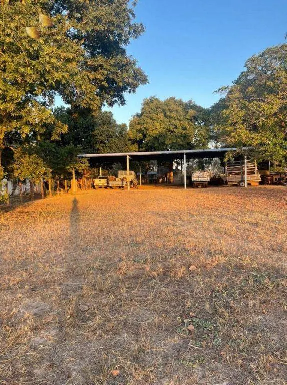 Fazenda à venda de 15.440 ha em Ribeirão Cascalheira, MT, Brasil