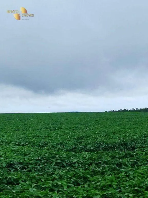 Fazenda à venda e para Arrendar de 800 ha em Nobres, MT, Brasil