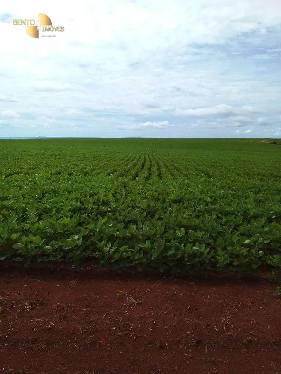 Fazenda à venda e para Arrendar de 800 ha em Nobres, MT, Brasil