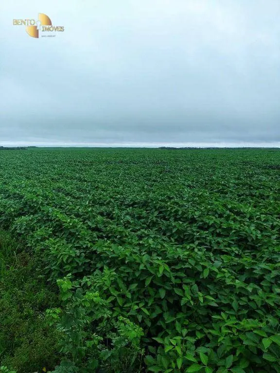 Fazenda à venda e para Arrendar de 800 ha em Nobres, MT, Brasil