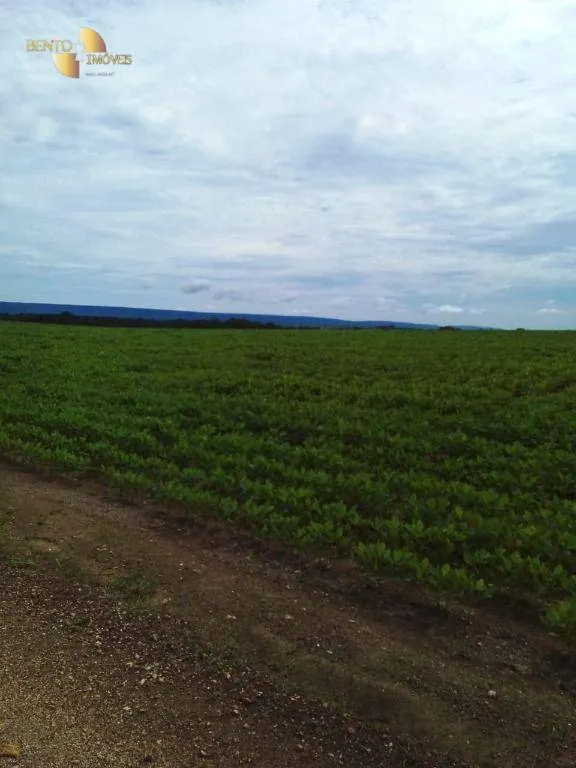 Fazenda à venda e para Arrendar de 800 ha em Nobres, MT, Brasil