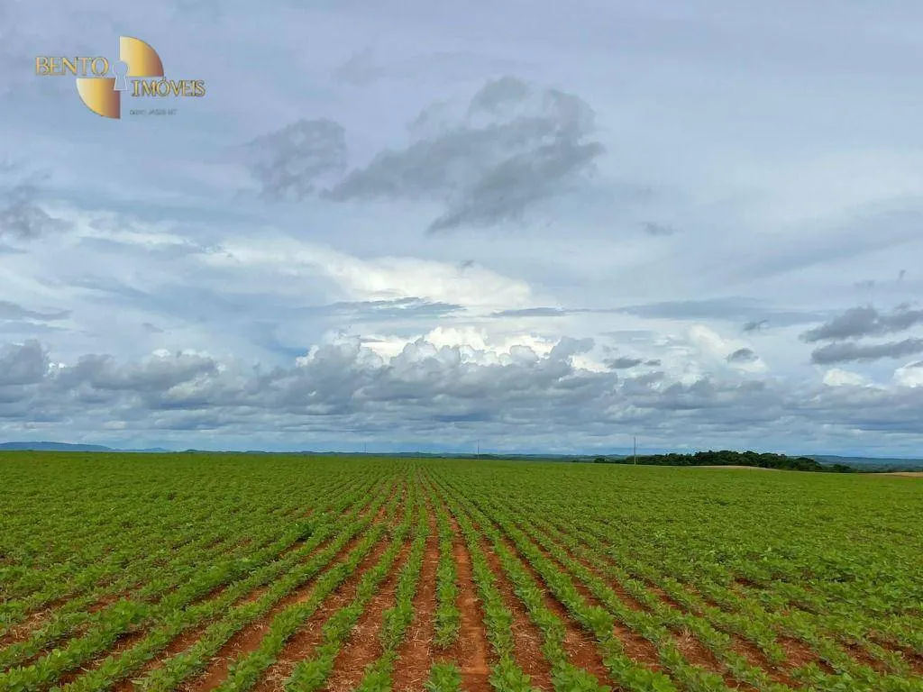 Fazenda à venda e para Arrendar de 800 ha em Nobres, MT, Brasil