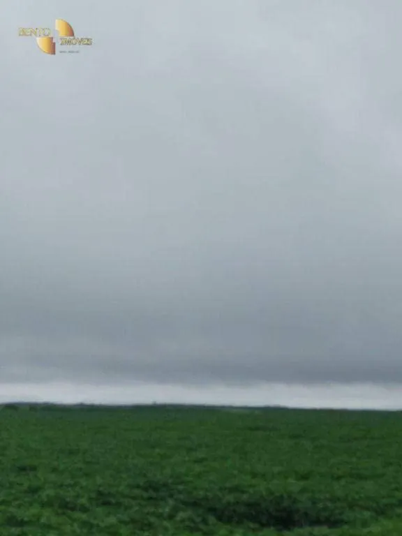 Fazenda à venda e para Arrendar de 800 ha em Nobres, MT, Brasil
